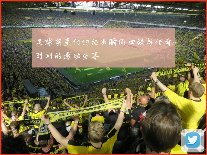 足球明星们的经典瞬间回顾与传奇时刻的感动分享