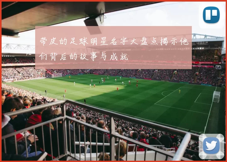 带皮的足球明星名字大盘点揭示他们背后的故事与成就